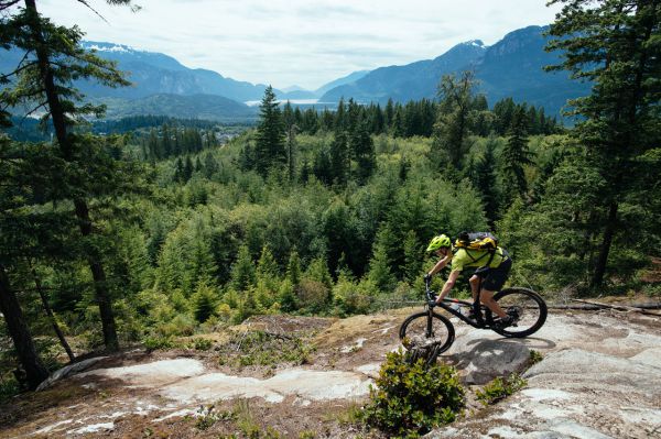 Trek Fuel EX 29" 2017