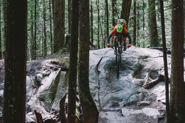 Trek Fuel EX 29" 2017