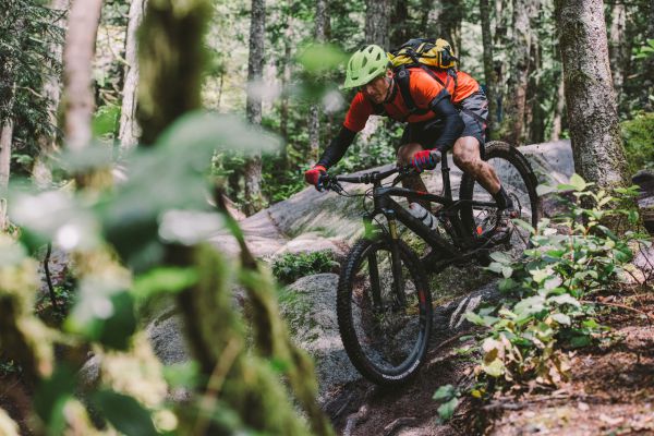 Trek Fuel EX 29" 2017