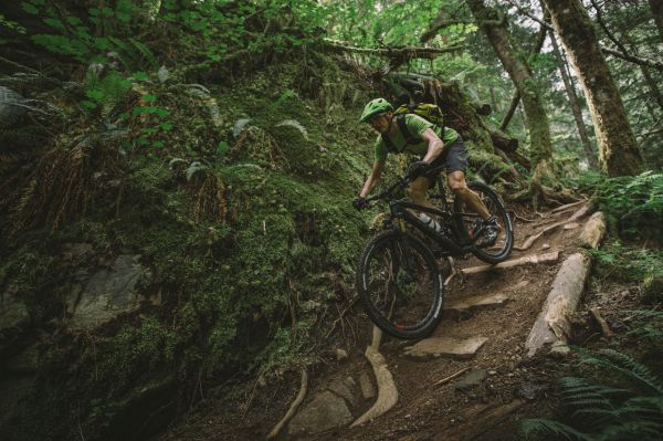 Trek Fuel EX 29" 2017