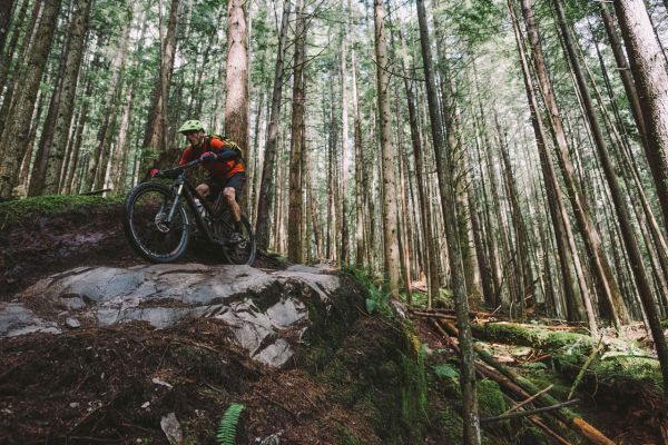 Trek Fuel EX 29" 2017