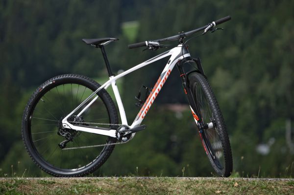 Specialized Stumpjumper Elite Carbon 29 World Cup