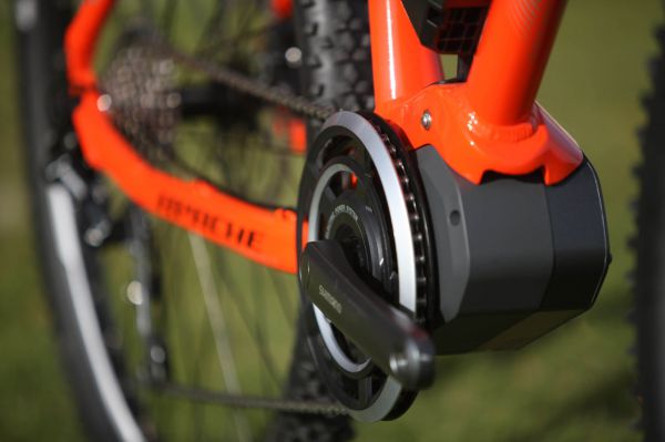 Apache Manitou STEPS