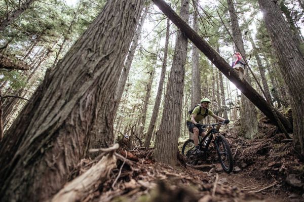 Trek Fuel EX 29" 2017