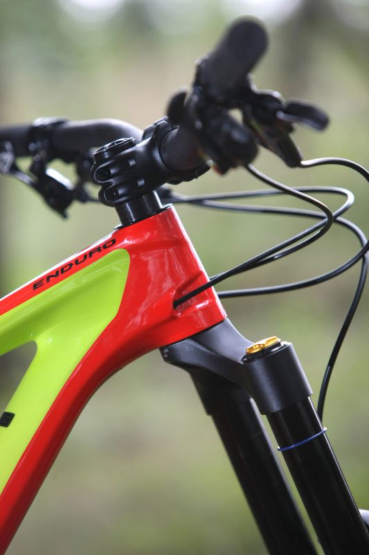 Specialized Enduro S-Works 2017