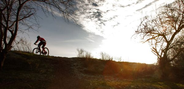 Giant XTC 29ER 2 LTD