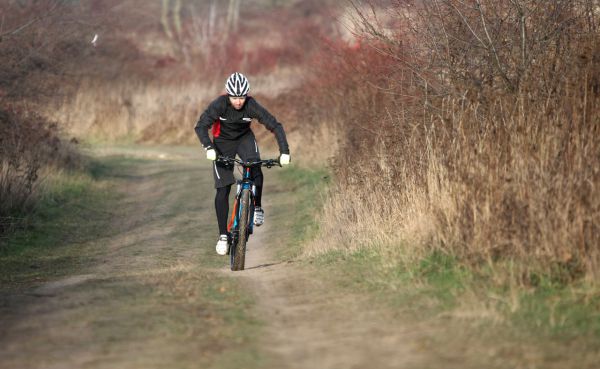 Giant XTC 29ER 2 LTD