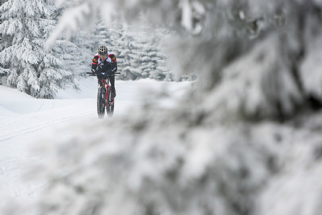 Stopa pro život 2017 - Fatbike Race
