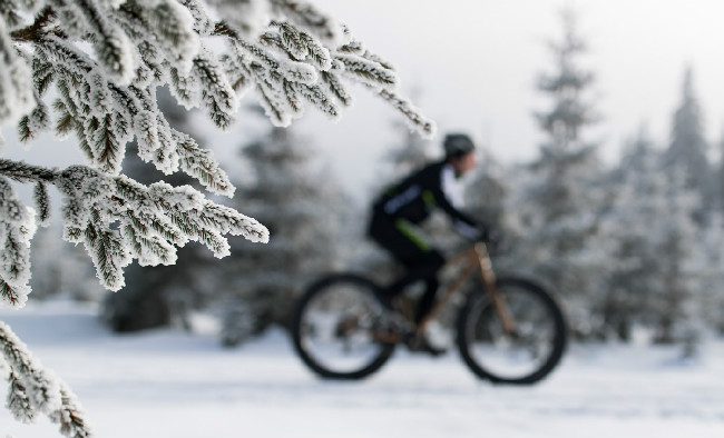 Stopa pro život 2017 - Fatbike Race