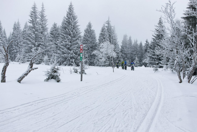 Stopa pro život 2017 - Fatbike Race