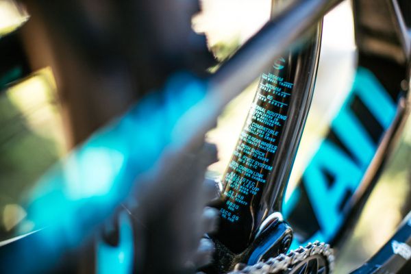 Cannondale Jekyll 2018