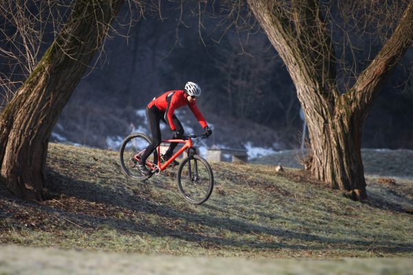 Specialized Epic HT Expert WC