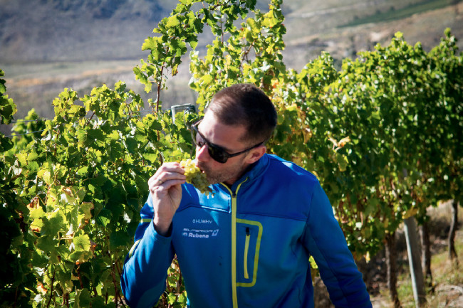 Další krácení chvíle na feedzoně, sem tam se našel zapomenutý hrozen