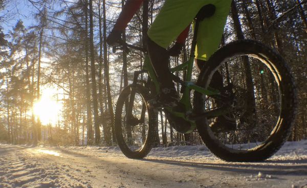 Specialized Levo FSR Comp 6Fattie