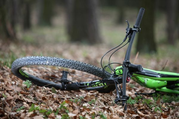 Cannondale Scalpel Si Carbon 2