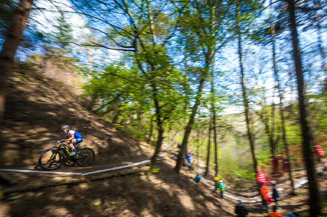 Jitka Škarnitzlová