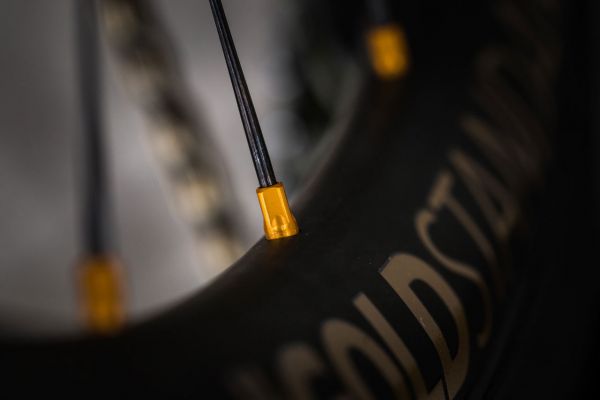 Scot Spark Nino Schurtera