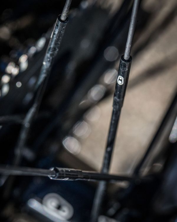 Bianchi Methanol Marca Aurelia Fontany