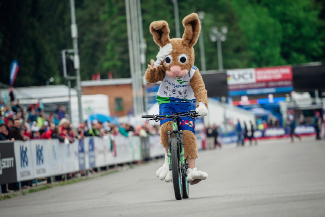 Tohle je príma fotka, ale zajíček z Vysočiny byl okamžitě vykázán z tratě...