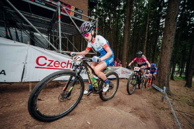 Jitka Škarnitzlová