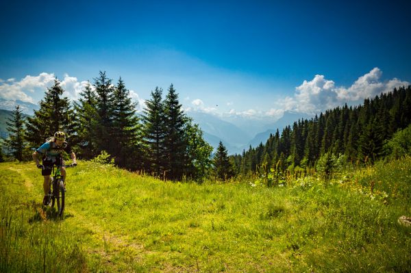 Lapierre Prorace 2018