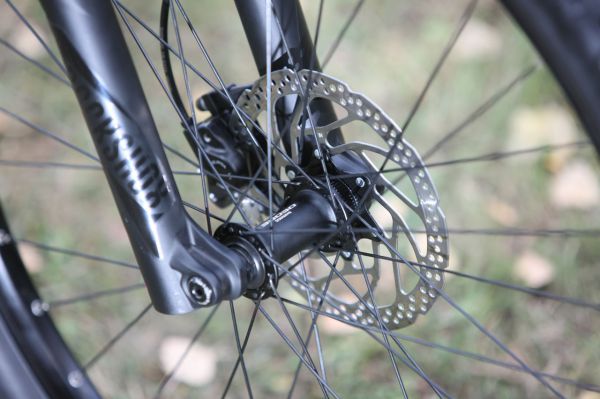 Pells Razzer Race 7 Plus