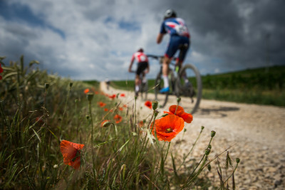 Mistrovství světa v maratonu 2017 - Singen