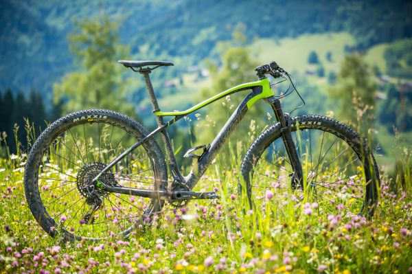 Lapierre Prorace 2018