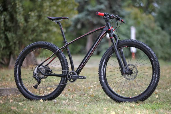 Pells Razzer Race 7 Plus