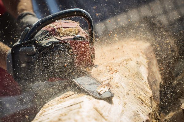 Úprava kmenů na trati