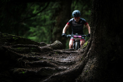 Je víc kořenů v Novém Městě nebo Lenzerheide? 