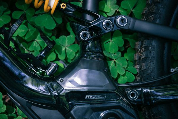 e-Specialized 2017 Levo & Kenevo