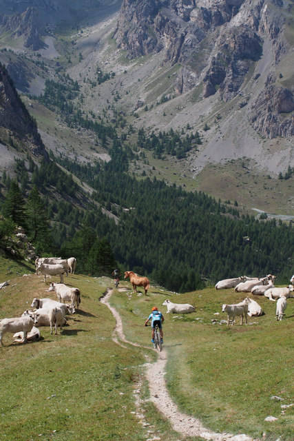 Mirek se řítí k cíli