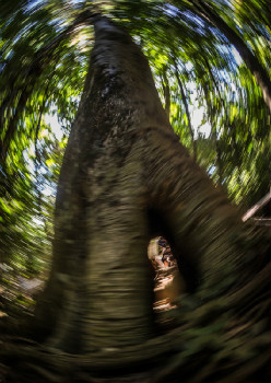 Rachel Atherton při tréninku ještě v plné formě