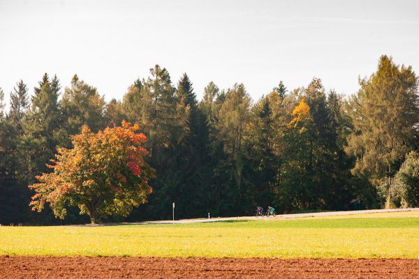 Stíhací duo Tomáš Havlíček a Zdeněk Arnold