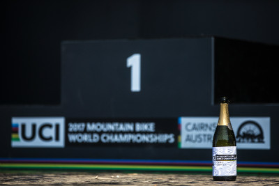 Mistrovství světa DHI 2017