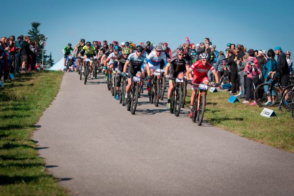 Kolo pro život 2017 - Vysočina Arena Tour