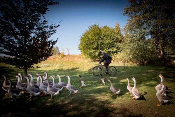 Kolo pro život 2017 - Vysočina Arena Tour