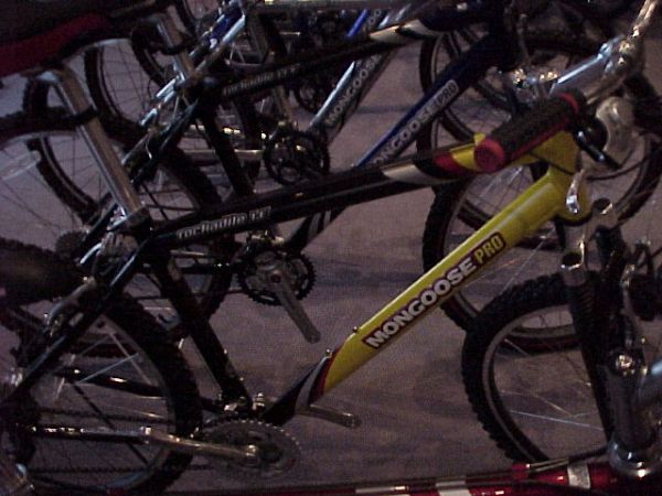 Prezentace Pells 2000