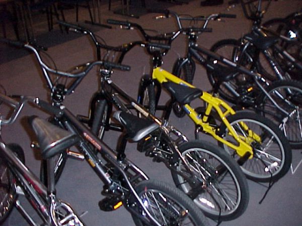 Prezentace Pells 2000