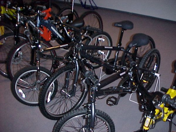 Prezentace Pells 2000