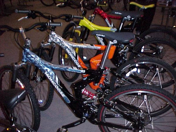 Prezentace Pells 2000