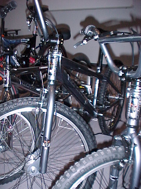 Prezentace Pells 2000