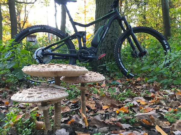 Merida eOne Twenty 500