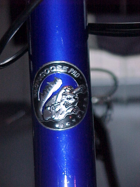 Prezentace Pells 2000