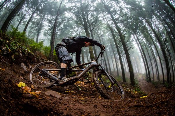 Představení Canyon Spectral 2018
