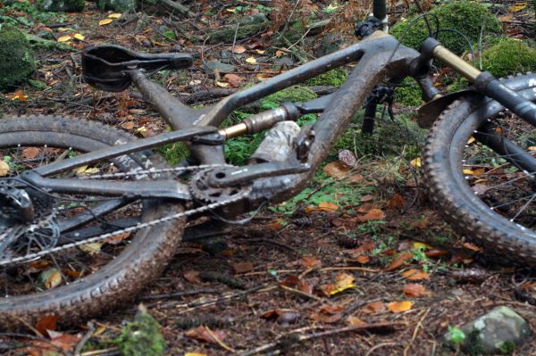 Představení Canyon Spectral 2018