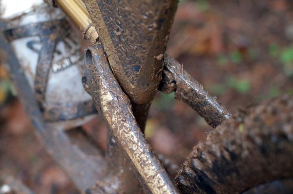 Představení Canyon Spectral 2018