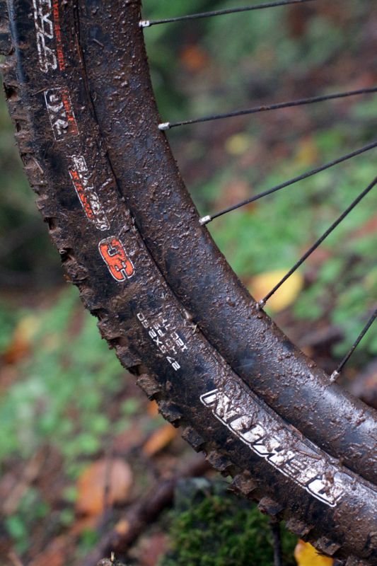 Představení Canyon Spectral 2018