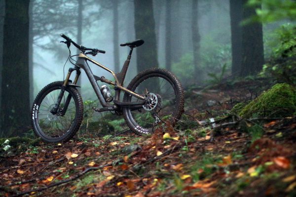 Představení Canyon Spectral 2018